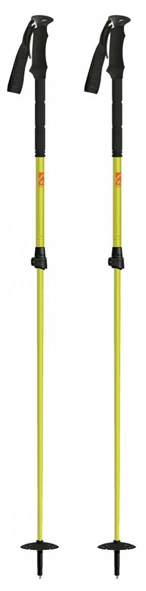 Bâtons de ski Fantastic